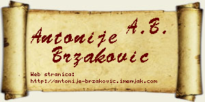 Antonije Brzaković vizit kartica